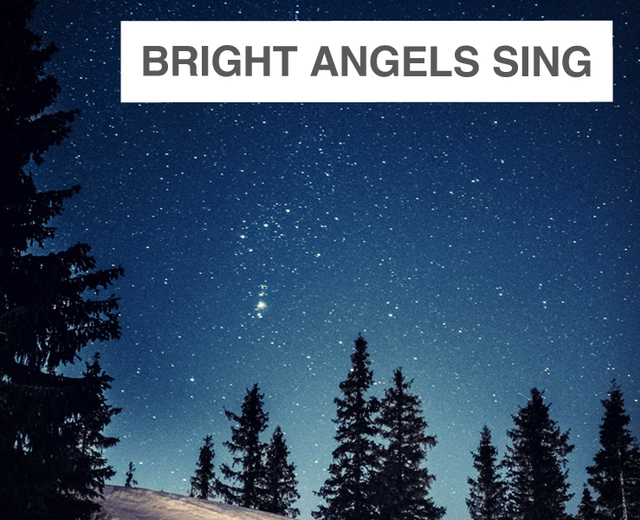 Bright Angels Sing | Bright Angels Sing| MusicSpoke
