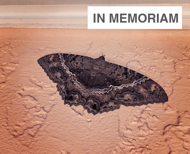 In Memoriam A.H.H. Obiit MDCCCXXXIII - 54 | In Memoriam A.H.H. Obiit MDCCCXXXIII - 54| MusicSpoke