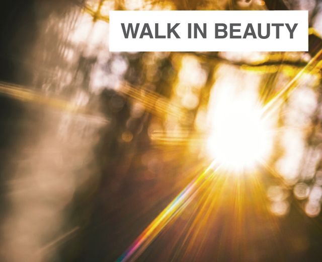 Walk In Beauty, Walk In Light | Walk In Beauty, Walk In Light| MusicSpoke