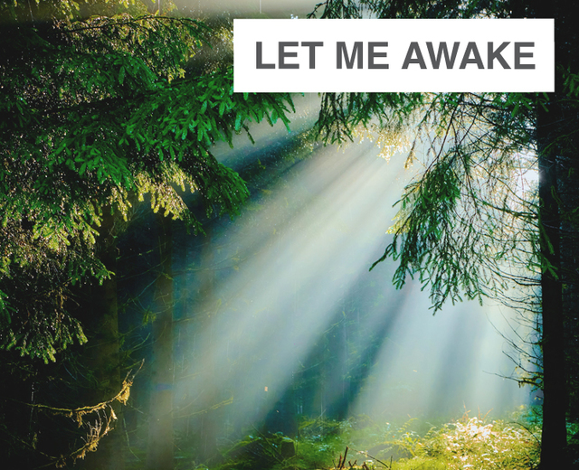 Let Me Awake | Let Me Awake| MusicSpoke