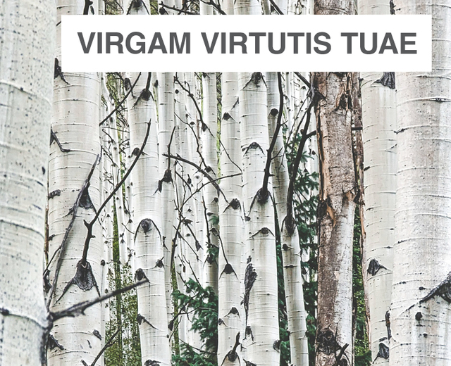 Virgam virtutis tuae | Virgam virtutis tuae| MusicSpoke