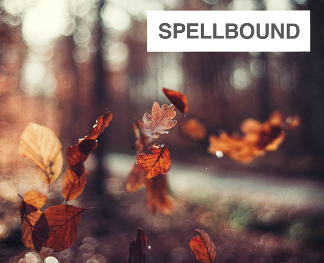 Spellbound | Spellbound| MusicSpoke