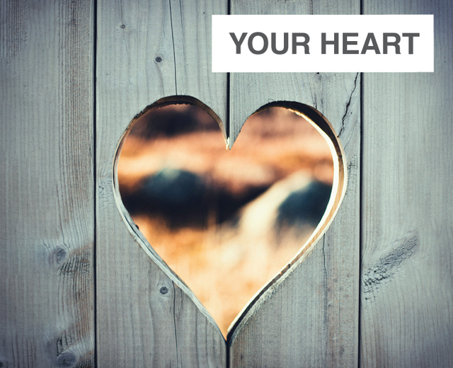 Your Heart | Your Heart| MusicSpoke