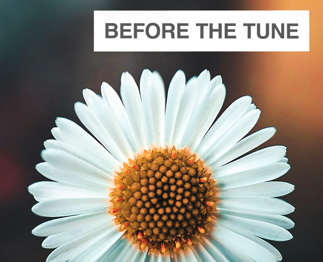 Before the Tune | Before the Tune| MusicSpoke