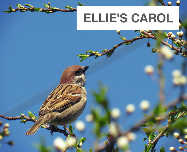 Ellie's Carol | Ellie's Carol| MusicSpoke