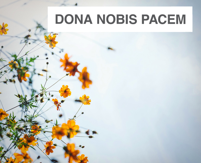 Dona nobis pacem | Dona nobis pacem| MusicSpoke