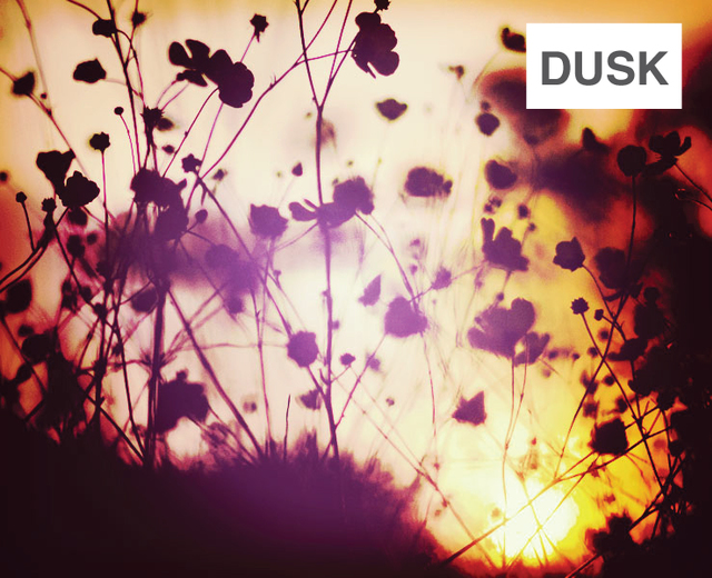 Dusk | Dusk| MusicSpoke