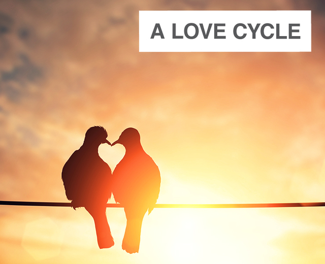 A Love Cycle | A Love Cycle| MusicSpoke