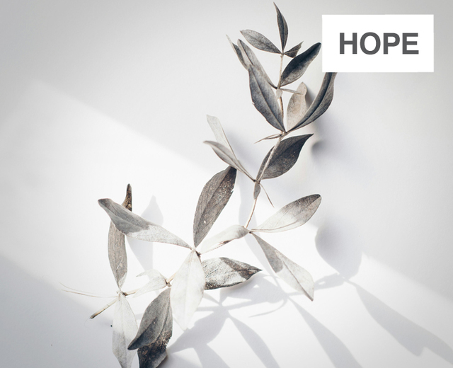 Hope | Hope| MusicSpoke