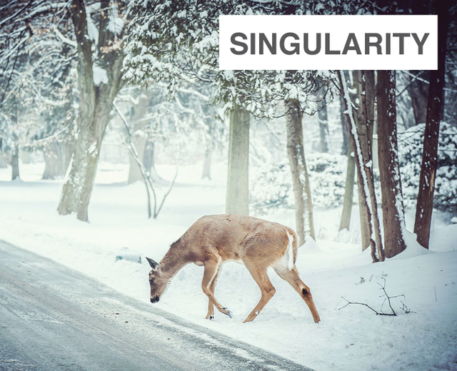 Singularity | Singularity| MusicSpoke