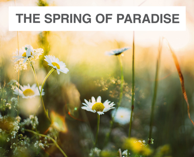 The Spring of Paradise | The Spring of Paradise| MusicSpoke