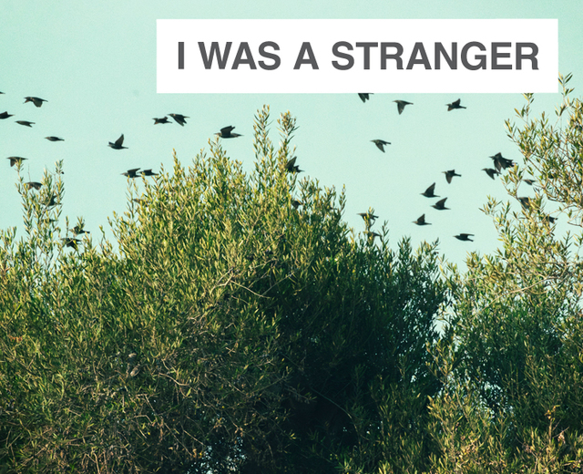I Was a Stranger | I Was a Stranger| MusicSpoke