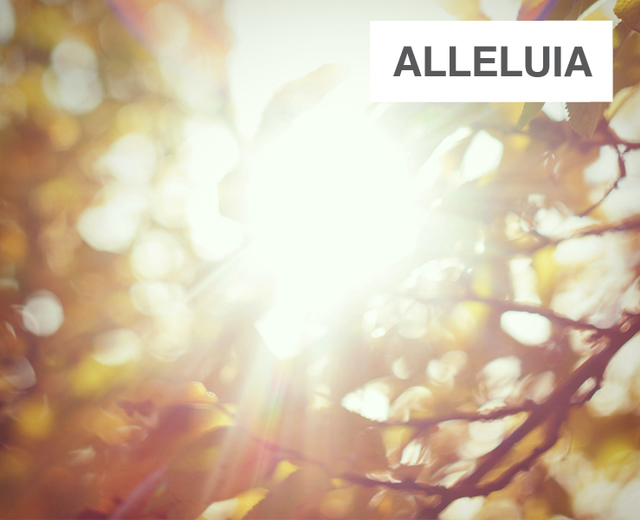 Alleluia | Alleluia| MusicSpoke