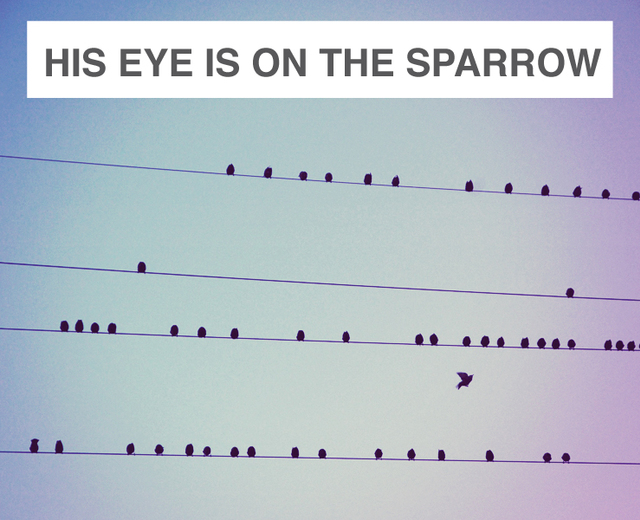 His Eye is on the Sparrow | His Eye is on the Sparrow| MusicSpoke