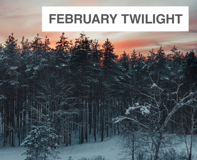 February Twilight | February Twilight| MusicSpoke