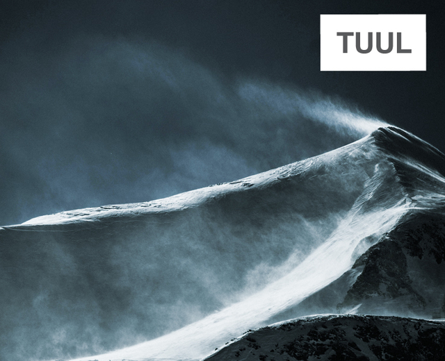 Tuul | Tuul| MusicSpoke