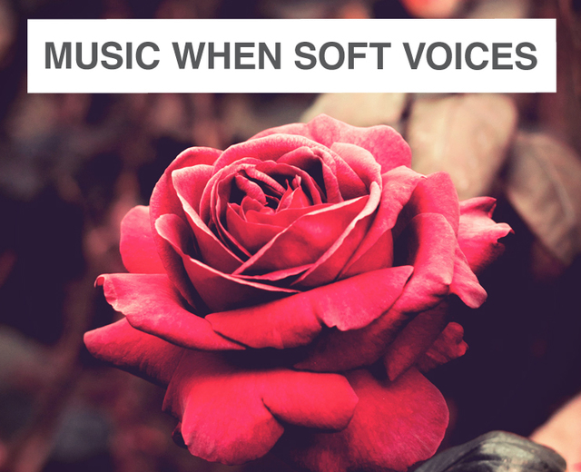 Music When Soft Voices Die | Music When Soft Voices Die| MusicSpoke