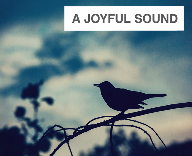 A Joyful Sound | A Joyful Sound| MusicSpoke