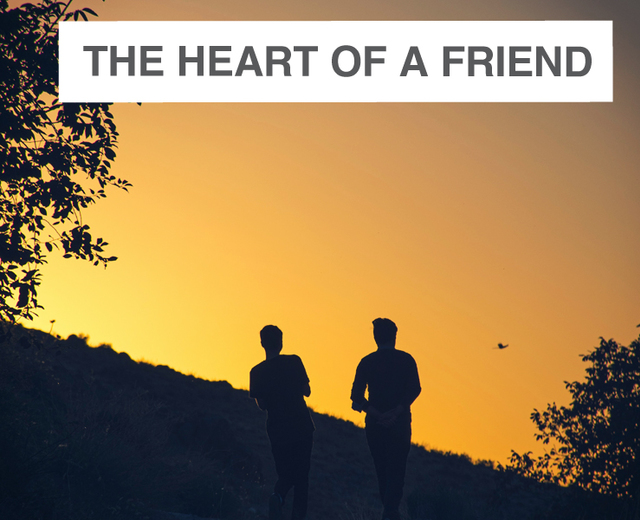 The Heart of a Friend | The Heart of a Friend| MusicSpoke