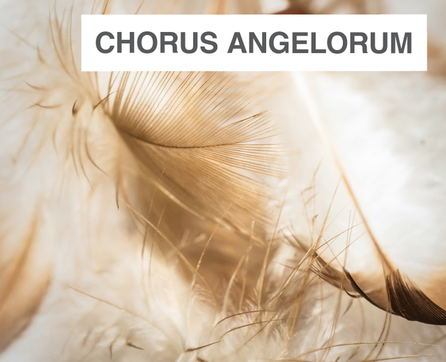 Chorus Angelorum | Chorus Angelorum| MusicSpoke