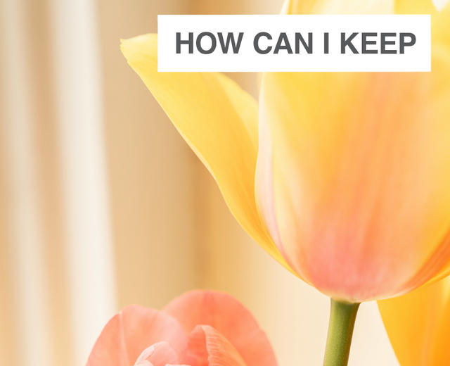 How Can I Keep from Singing? | How Can I Keep from Singing?| MusicSpoke