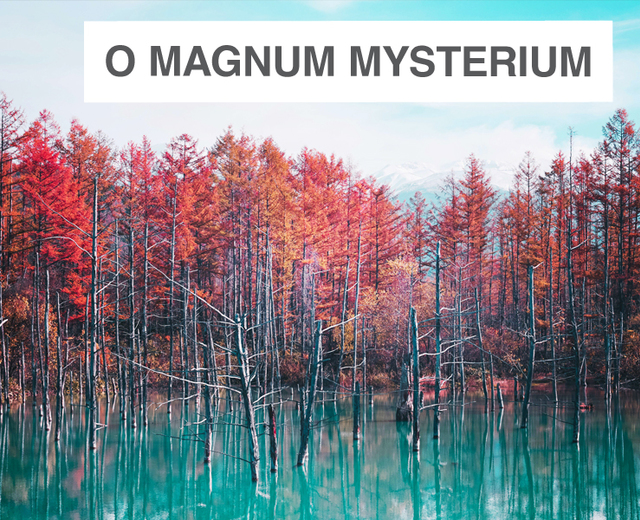 O Magnum Mysterium | O Magnum Mysterium| MusicSpoke