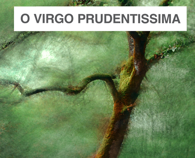 O Virgo Prudentissima | O Virgo Prudentissima| MusicSpoke