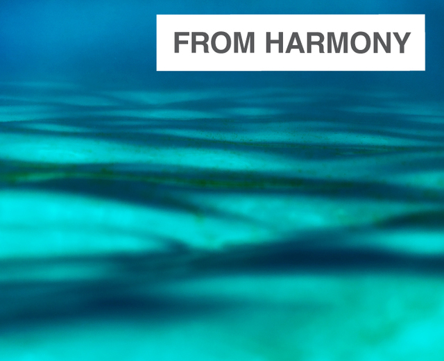 From Harmony | From Harmony| MusicSpoke