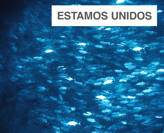 Estamos Unidos | Estamos Unidos| MusicSpoke