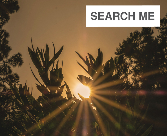 Search Me | Search Me| MusicSpoke
