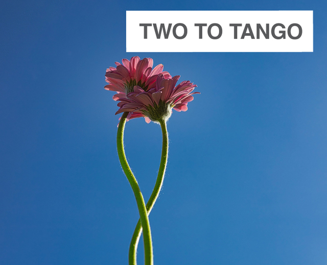 Two to Tango | Two to Tango| MusicSpoke