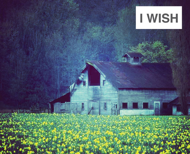 I Wish | I Wish| MusicSpoke
