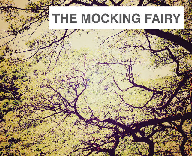 The Mocking Fairy | The Mocking Fairy| MusicSpoke