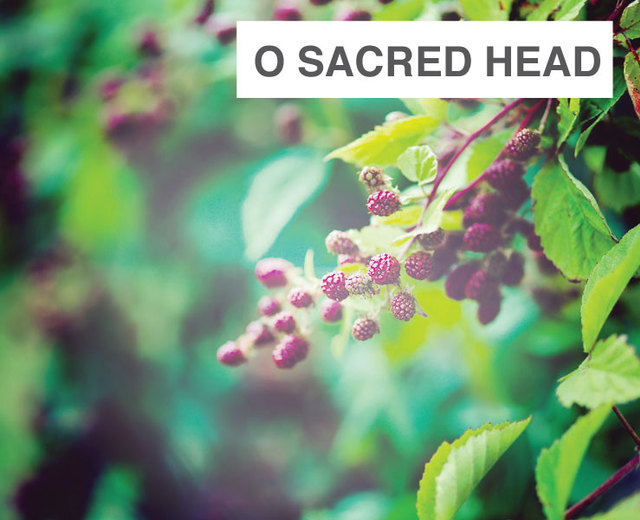 O Sacred Head | O Sacred Head| MusicSpoke