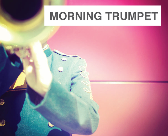 The Morning Trumpet | The Morning Trumpet| MusicSpoke