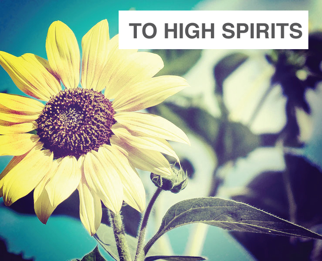 To High Spirits | To High Spirits| MusicSpoke