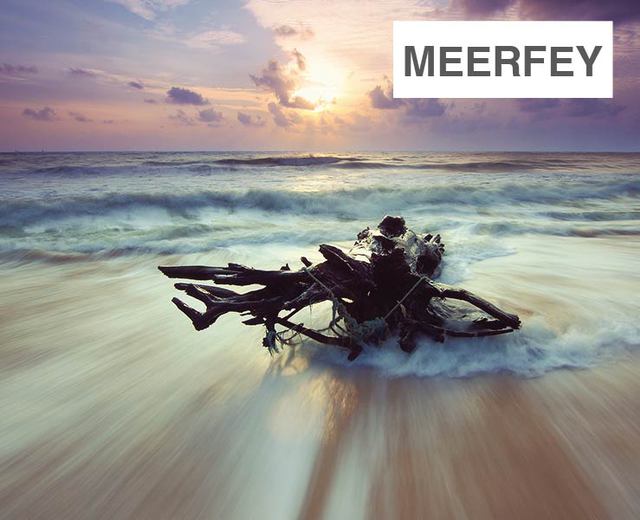 Meerfey | Meerfey| MusicSpoke