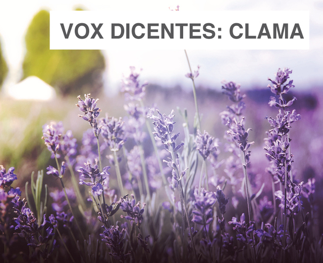 vox dicentes: clama | vox dicentes: clama| MusicSpoke