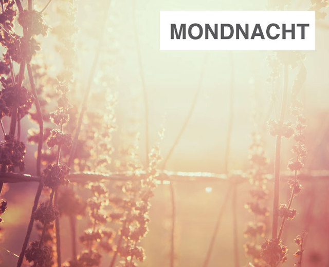 Mondnacht | Mondnacht| MusicSpoke