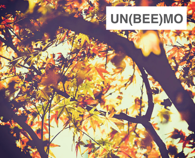 un(bee)mo | un(bee)mo| MusicSpoke