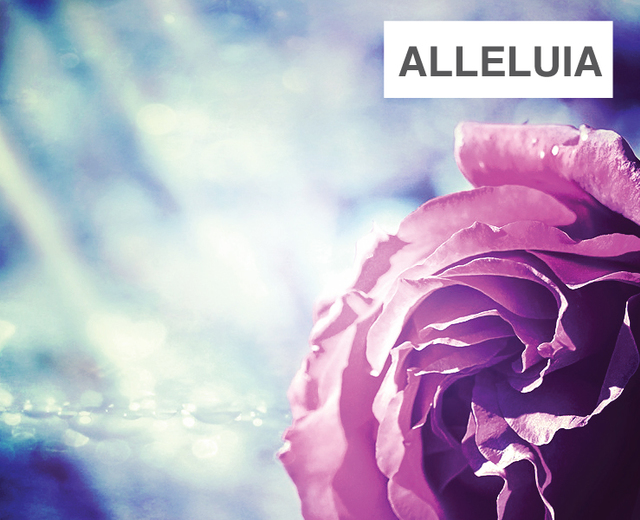 Alleluia | Alleluia| MusicSpoke