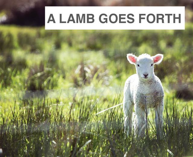 A Lamb Goes Uncomplaining Forth: A Lenten Cantata | A Lamb Goes Uncomplaining Forth: A Lenten Cantata| MusicSpoke