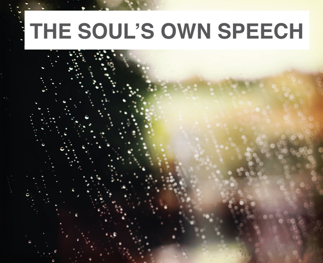 The Soul's Own Speech | The Soul's Own Speech| MusicSpoke