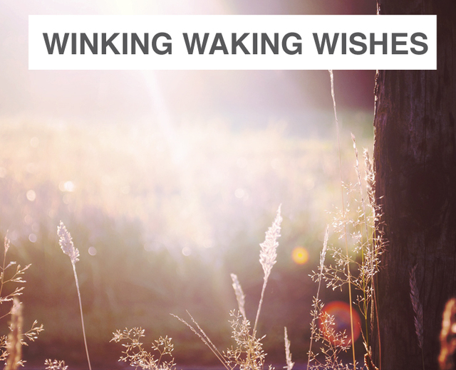Winking Waking Wishes Wail | Winking Waking Wishes Wail| MusicSpoke