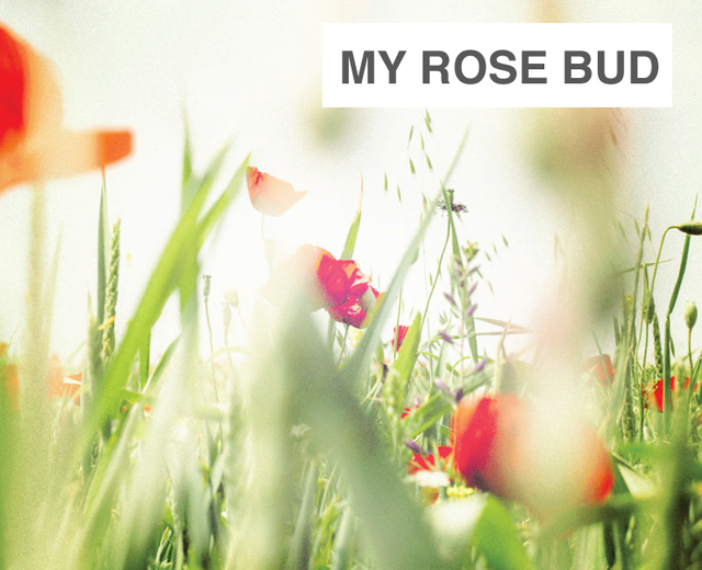 My Rose Bud, My Green Branch | My Rose Bud, My Green Branch| MusicSpoke