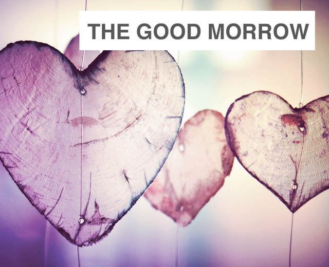 The Good Morrow | The Good Morrow| MusicSpoke