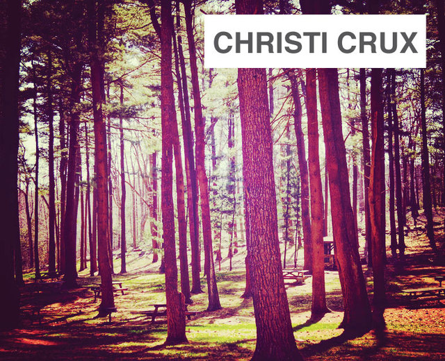 Christi Crux Est Mea Lux | Christi Crux Est Mea Lux| MusicSpoke