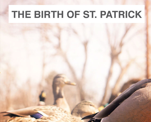The Birth of St. Patrick | The Birth of St. Patrick| MusicSpoke