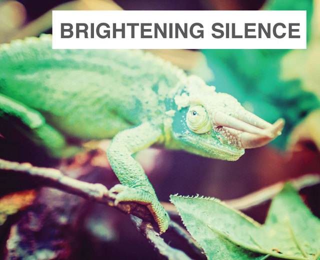 this brightening silence | this brightening silence| MusicSpoke