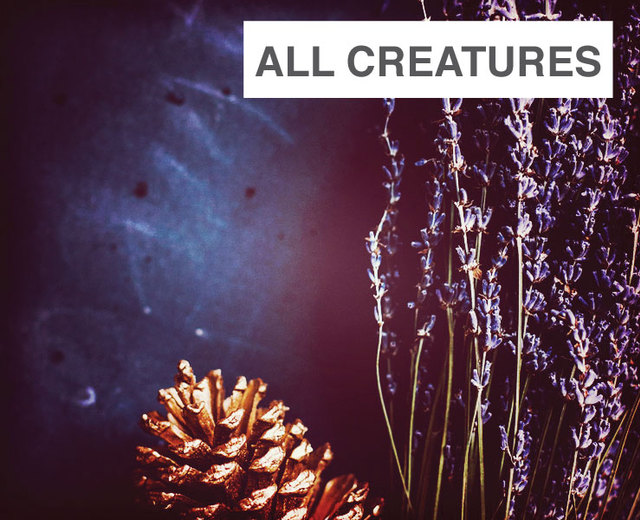 All Creatures of our God and King | All Creatures of our God and King| MusicSpoke